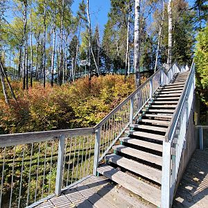 Zoo Sauvage 10/22 - Eastern Asia, Japanese macaque exhibit