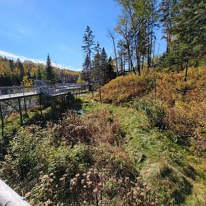 Zoo Sauvage 10/22 - Eastern Asia, Japanese macaque exhibit