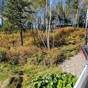 Zoo Sauvage 10/22 - Eastern Asia, Japanese macaque exhibit