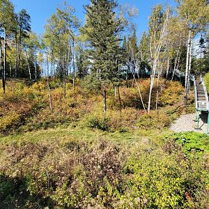 Zoo Sauvage 10/22 - Eastern Asia, Japanese macaque exhibit