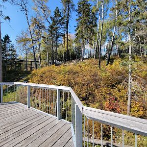 Zoo Sauvage 10/22 - Eastern Asia, Japanese macaque exhibit