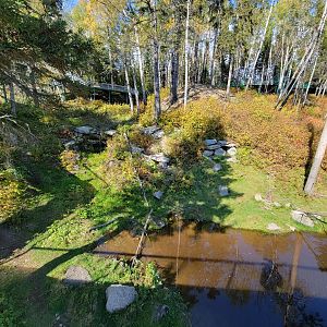 Zoo Sauvage 10/22 - Eastern Asia, Japanese macaque exhibit
