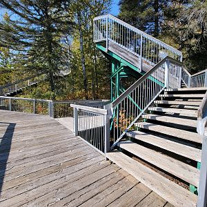 Zoo Sauvage 10/22 - Eastern Asia, lots of steps