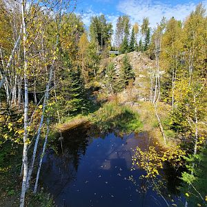 Zoo Sauvage 10/22 - Eastern Asia, Amur tiger exhibit