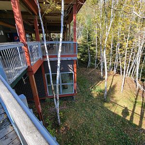 Zoo Sauvage 10/22 - Eastern Asia, Amur tiger exhibit viewing platforms