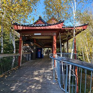Zoo Sauvage 10/22 - Eastern Asia, Amur tiger exhibit