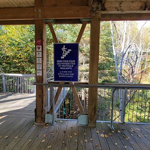 Zoo Sauvage 10/22 - Eastern Asia, Amur tiger exhibit building, U-turn for strollers, wheelchairs, etc