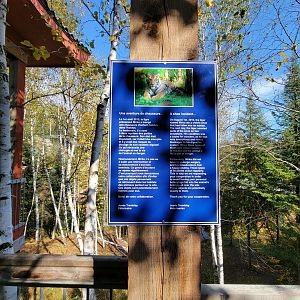 Zoo Sauvage 10/22 - Eastern Asia, sign about a tiger getting sick from a dropped shoe