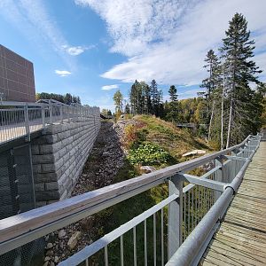 Zoo Sauvage 10/22 - Arctic Tundra, polar bear / arctic fox exhibit #1