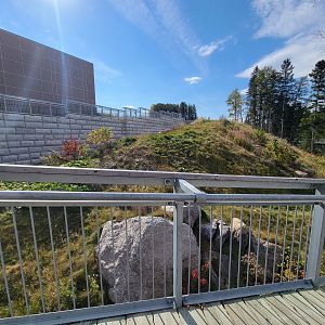 Zoo Sauvage 10/22 - Arctic Tundra, polar bear / arctic fox exhibit #1