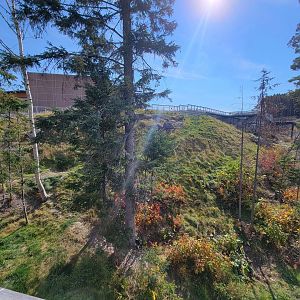 Zoo Sauvage 10/22 - Arctic Tundra, polar bear / arctic fox exhibit #1