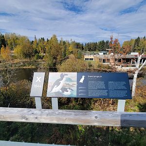 Zoo Sauvage 10/22 - Arctic Tundra, great auk extinction sign