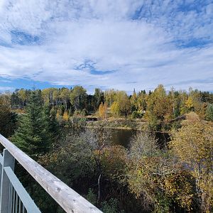 Zoo Sauvage 10/22 - View of Eastern Asia exhibits across the Rivière au Saumon
