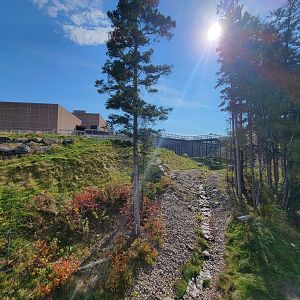 Zoo Sauvage 10/22 - Arctic Tundra, polar bear / arctic fox exhibit #1