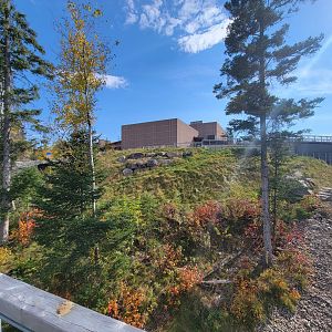 Zoo Sauvage 10/22 - Arctic Tundra, polar bear / arctic fox exhibit #1