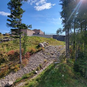 Zoo Sauvage 10/22 - Arctic Tundra, polar bear / arctic fox exhibit #1