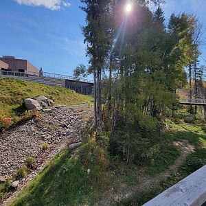 Zoo Sauvage 10/22 - Arctic Tundra, polar bear / arctic fox exhibit #1