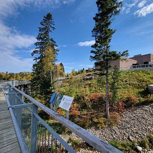 Zoo Sauvage 10/22 - Arctic Tundra, polar bear / arctic fox exhibit #1