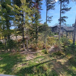 Zoo Sauvage 10/22 - Arctic Tundra, polar bear / arctic fox exhibit #1