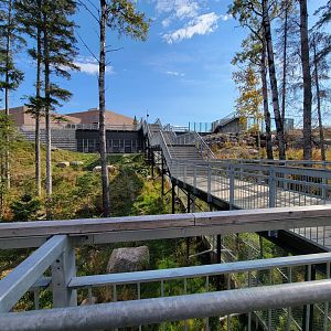 Zoo Sauvage 10/22 - Arctic Tundra, stairs between polar bear exhibits