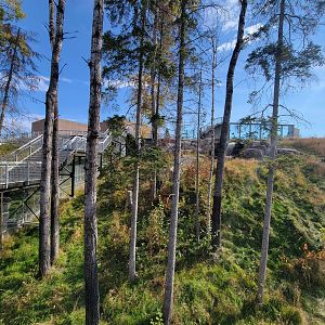 Zoo Sauvage 10/22 - Arctic Tundra, polar bear / arctic fox exhibit #2
