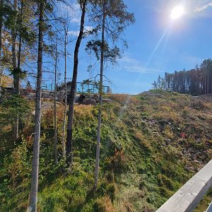 Zoo Sauvage 10/22 - Arctic Tundra, polar bear / arctic fox exhibit #2