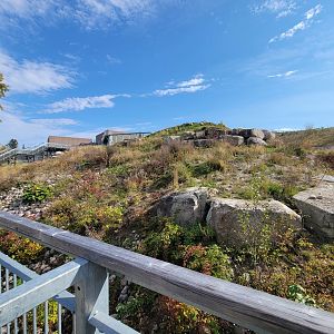 Zoo Sauvage 10/22 - Arctic Tundra, polar bear / arctic fox exhibit #2