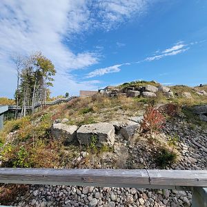 Zoo Sauvage 10/22 - Arctic Tundra, polar bear / arctic fox exhibit #2