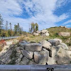 Zoo Sauvage 10/22 - Arctic Tundra, polar bear / arctic fox exhibit #2