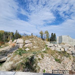 Zoo Sauvage 10/22 - Arctic Tundra, polar bear / arctic fox exhibit #2