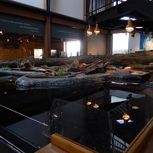 9/15/2022 - Backwater Marsh