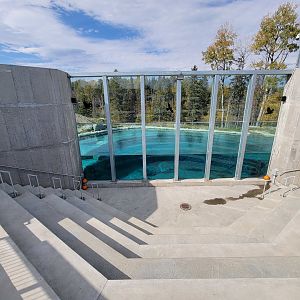 Zoo Sauvage 10/22 - Arctic Tundra, polar bear / arctic fox exhibit #2