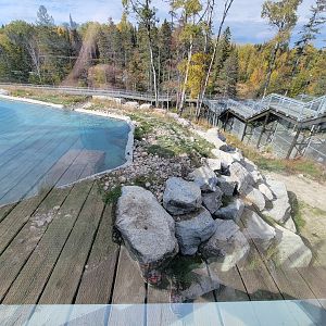 Zoo Sauvage 10/22 - Arctic Tundra, polar bear / arctic fox exhibit #2