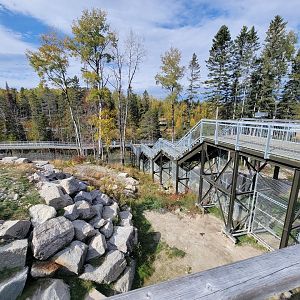 Zoo Sauvage 10/22 - Arctic Tundra, stairs between polar bear exhibits