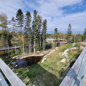 Zoo Sauvage 10/22 - Arctic Tundra, polar bear / arctic fox exhibit #1