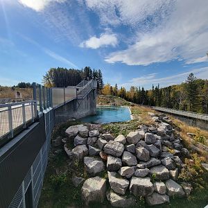 Zoo Sauvage 10/22 - Arctic Tundra, polar bear / arctic fox exhibit #2