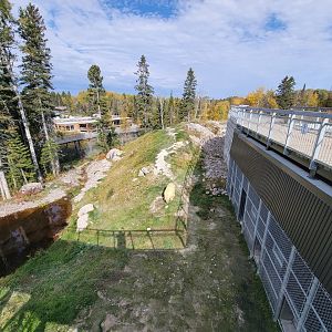 Zoo Sauvage 10/22 - Arctic Tundra, polar bear / arctic fox exhibit #1