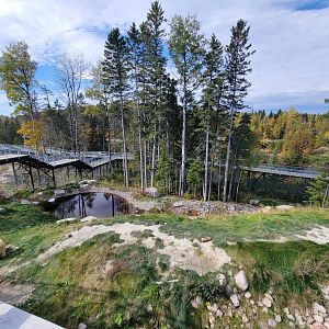 Zoo Sauvage 10/22 - Arctic Tundra, polar bear / arctic fox exhibit #1