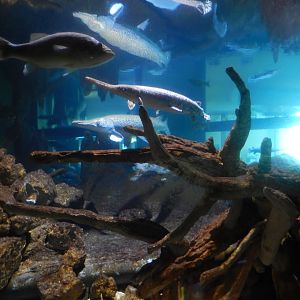 9/15/2022 - Main Channel