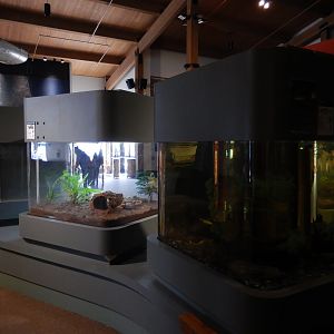 9/15/2022 - West Building Terrariums