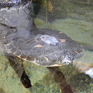 9/15/2022 - Just Another Day in Paradise...