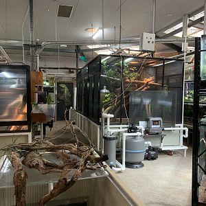 Reptile House Interior