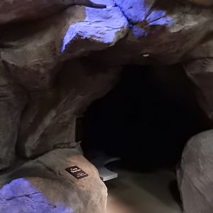 9/15/2022 - Cave Stories