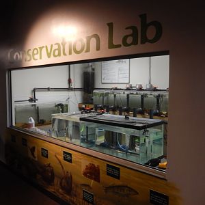 9/15/2022 - Conservation Lab