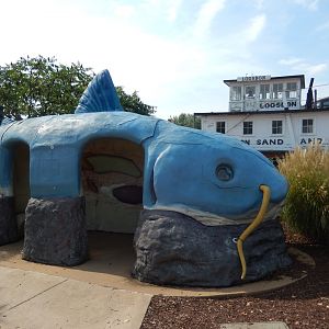 9/15/2022 - Giant Plastic Catfish