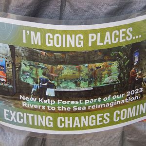 9/15/2022 - Rivers to the Sea Concept Art