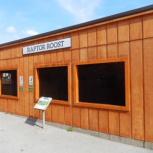 9/15/2022 - Raptor Roost
