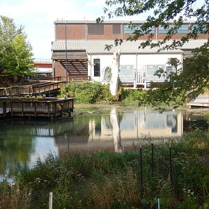 9/15/2022 - Wetlands