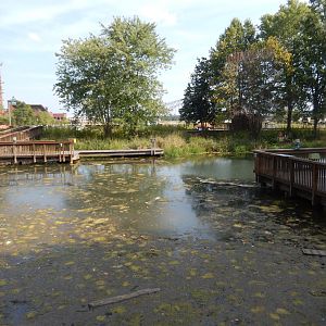 9/15/2022 - Wetlands