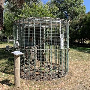Cockatoo Aviary